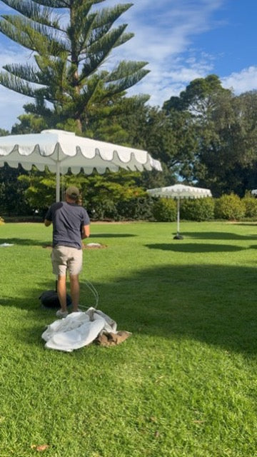 Scallop Umbrella Hire - Euro Inspired Umbrella (VIC Only)